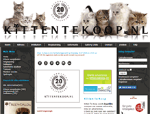 Tablet Screenshot of kittentekoop.nl
