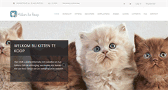 Desktop Screenshot of kittentekoop.be